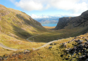 Graphic Logo Graphic Logo